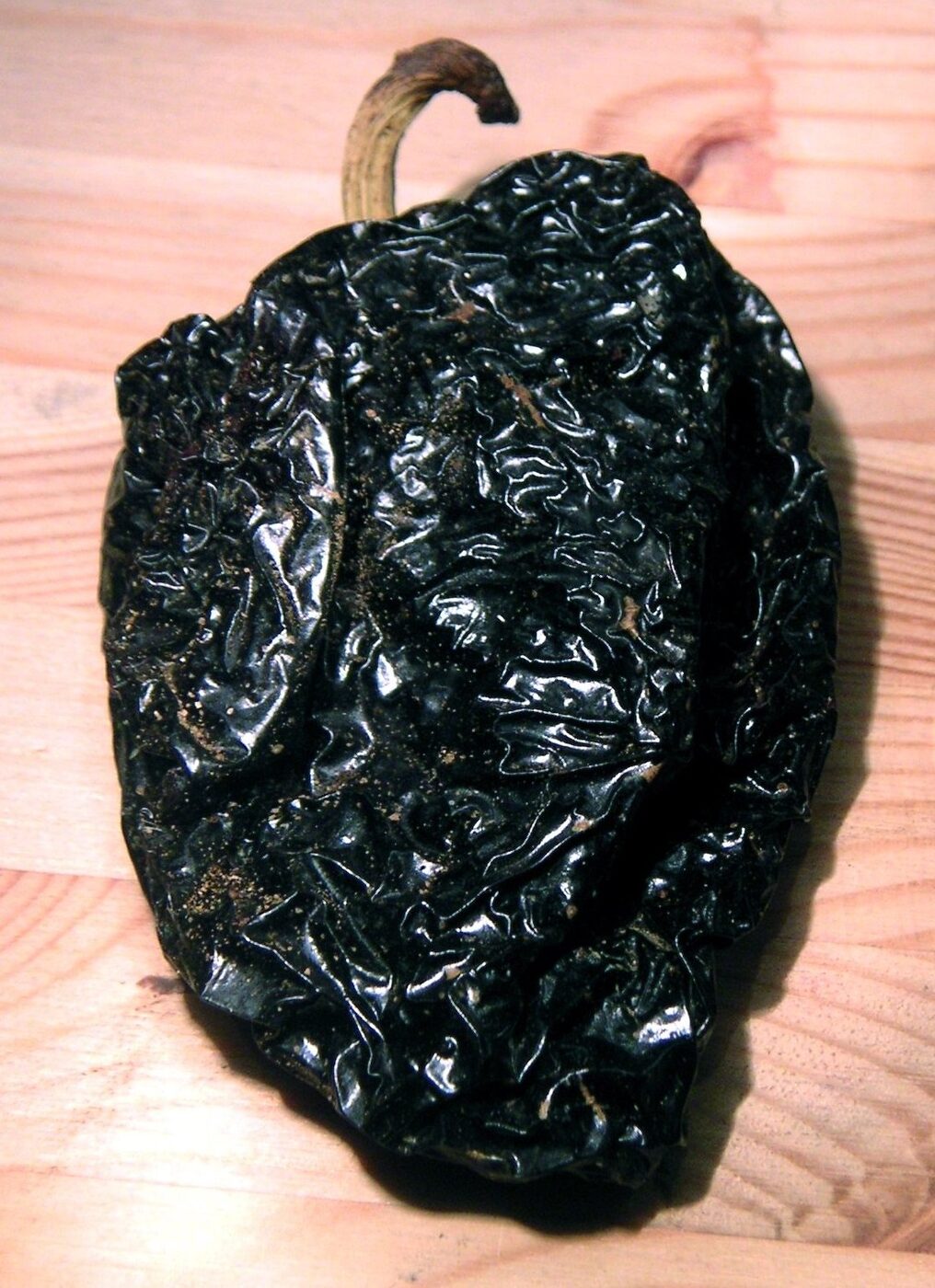 A single wrinkled, dark reddish-brown dried chilli pod with a curved stem.