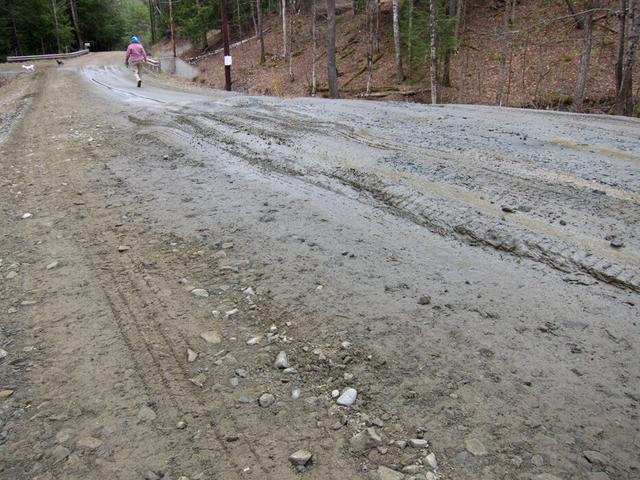An unpaved rural road in bare early-spring woods, its surface churned into cracked, rutted ridges of grey mud and loose stone; a walker and a dog are visible further up the hill.