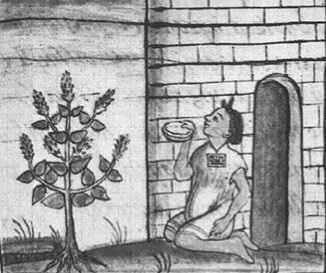 A small monochrome reproduction of a sixteenth-century manuscript drawing: a leafy flowering plant at left, and at right a seated figure holding a shallow bowl to the mouth beside a stone wall with a doorway.