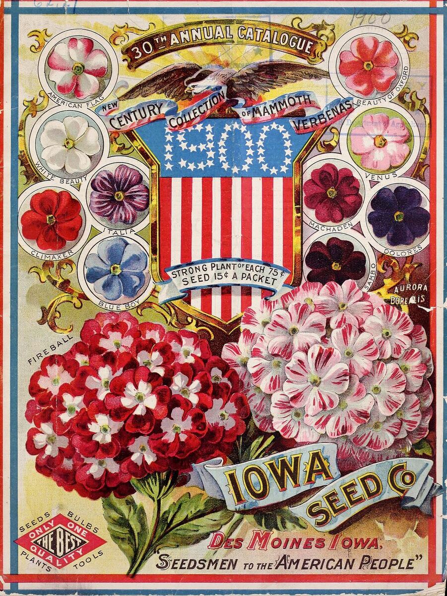 A colour-lithographed catalogue cover crowded with named verbena varieties around a striped shield reading 1900, with a banner lettered Iowa Seed Co., Des Moines Iowa.