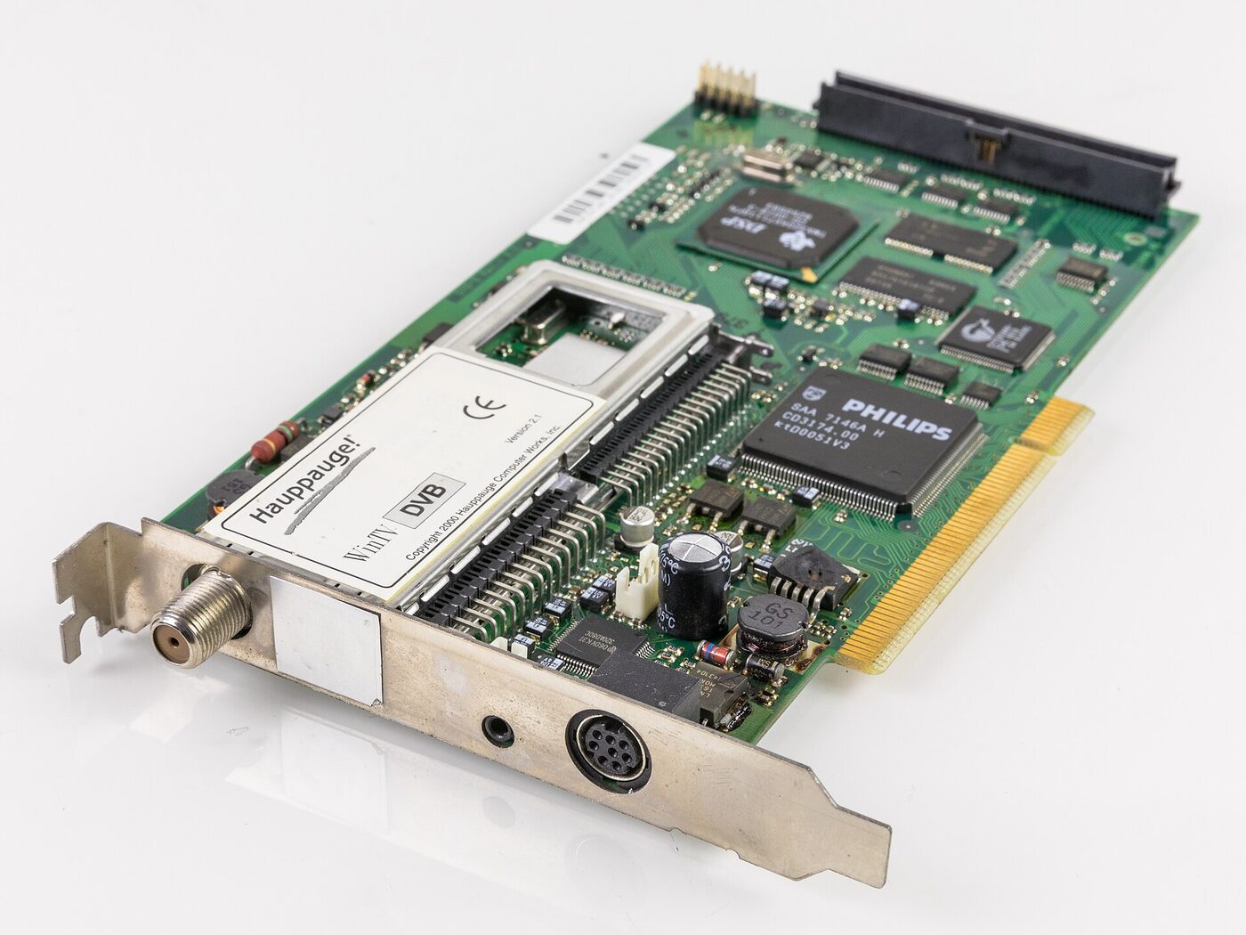 A green PCI expansion card photographed at an angle against a white background, its metal bracket carrying a screw-on coaxial socket, with a large Philips SAA 7146A integrated circuit and a white Hauppauge WinTV DVB label on the board.