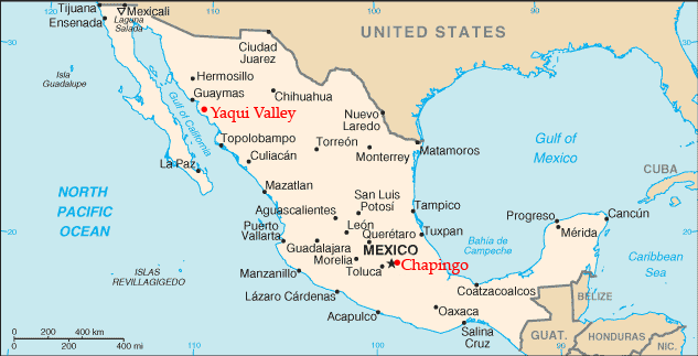 Outline map of Mexico with two red star markers labelled Yaqui Valley, in the north-west near Guaymas, and Chapingo, just east of Mexico City.