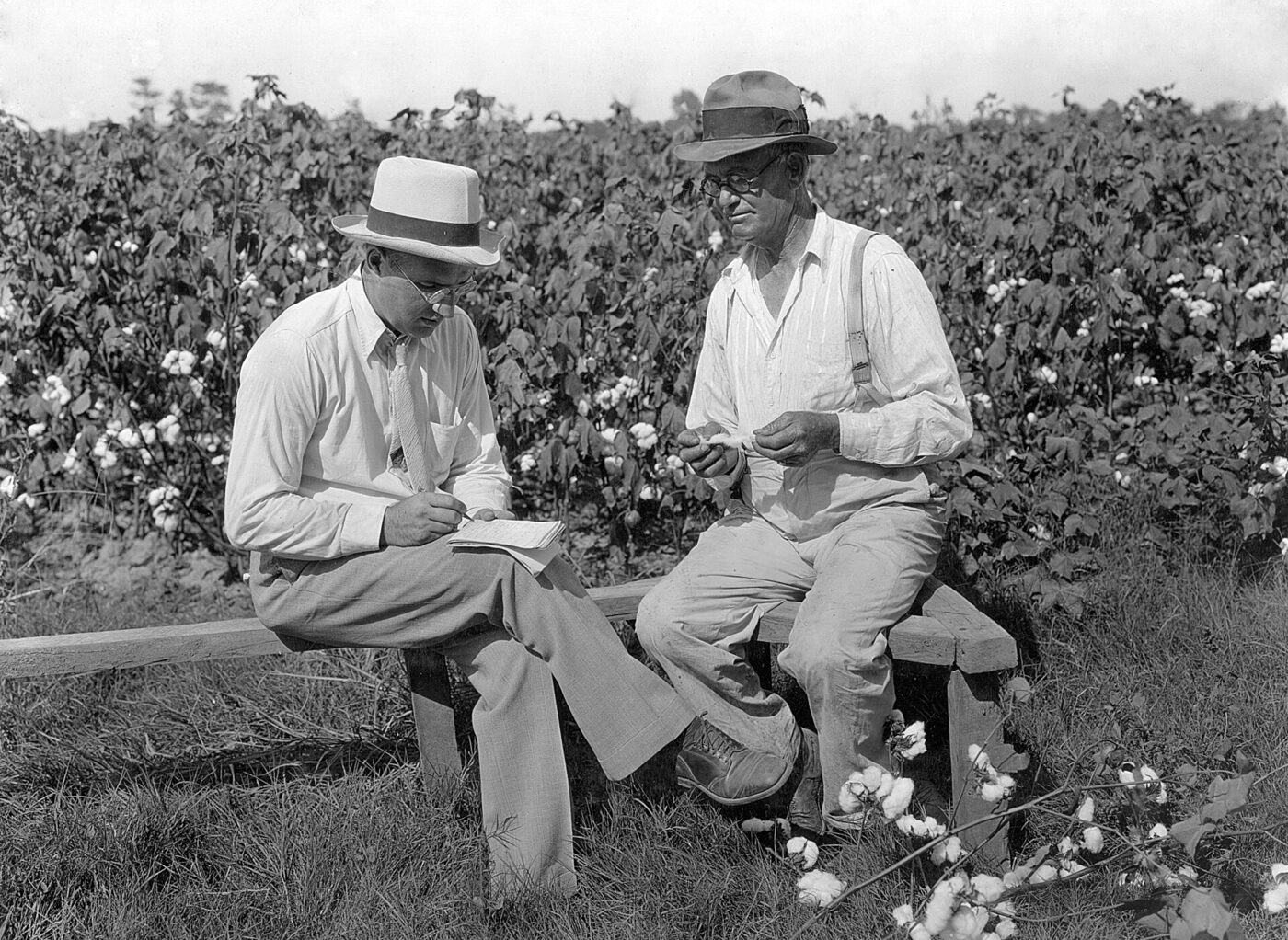 Two men beside a cotton field, one in a straw hat writing in a notebook while the other, in work clothes and a felt hat, talks to him.