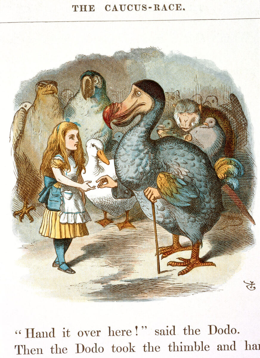 Coloured book illustration headed "The Caucus-Race": a girl in a blue and yellow dress hands a thimble to a large dodo leaning on a cane, watched by other birds and animals.