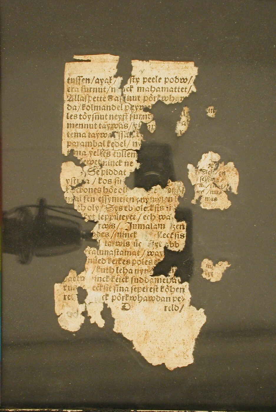 Torn scraps of a printed leaf in blackletter type mounted on a dark board behind glass, with several lines of early Estonian text still legible.